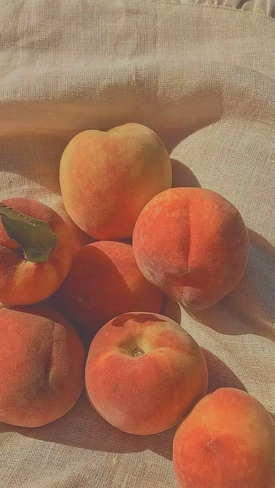 peaches